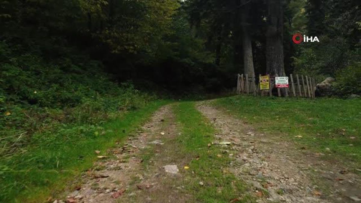 Gümüşhane'nin sonbahar güzellikleri ile mest etti