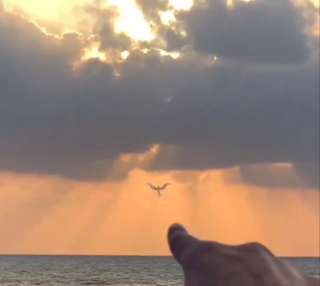 İnsanlar aniden etrafa kaçıştığı sırada ortaya çıktı: Bakın melek nasıl göğe yükseliyor