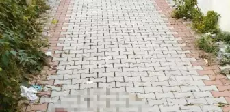 Kız bebek, poşete konup apartmandan atıldı