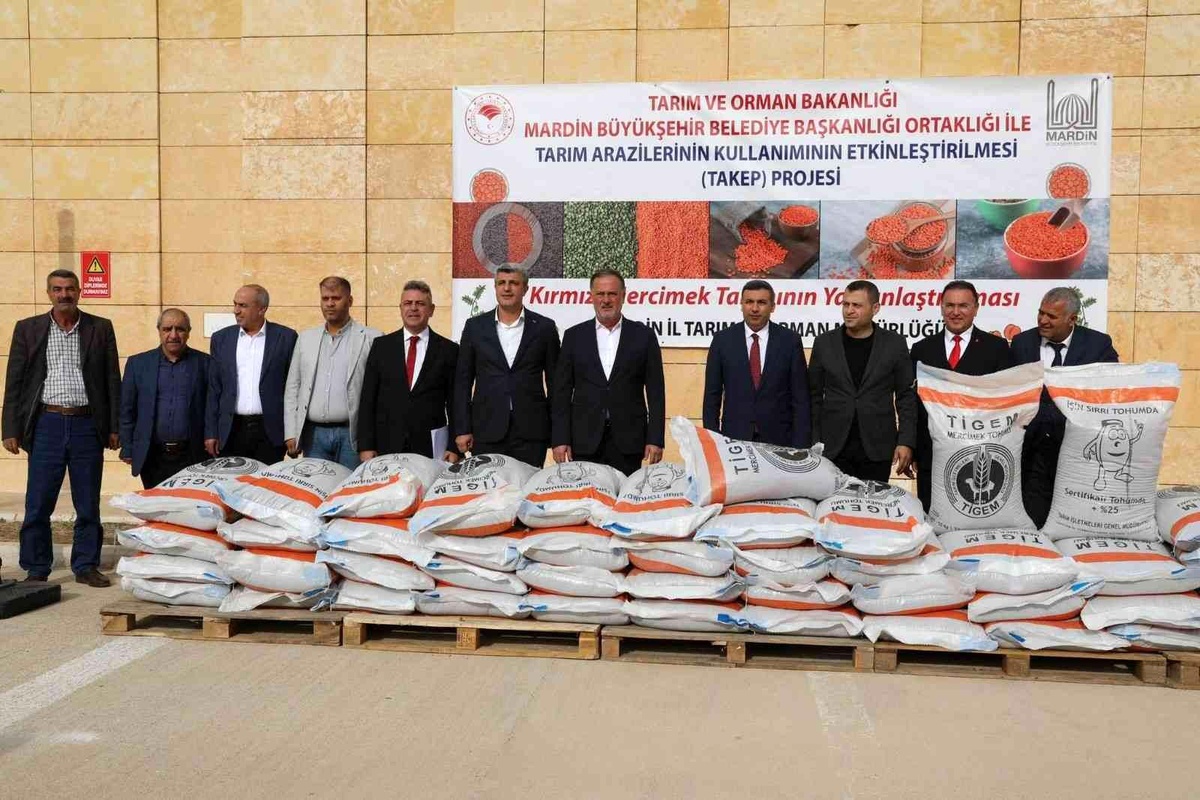 Mardin\'de sertifikalı kırmızı mercimek ve buğday tohumu dağıtımı başladı