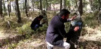 Mezar taşlarından tarihin izini sürmek için köy köy geziyorlar