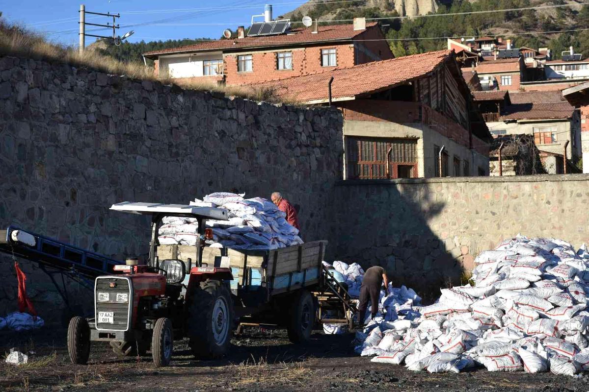 Tosya\'da bin 300 aileye 400 ton kömür yardımı yapıldı