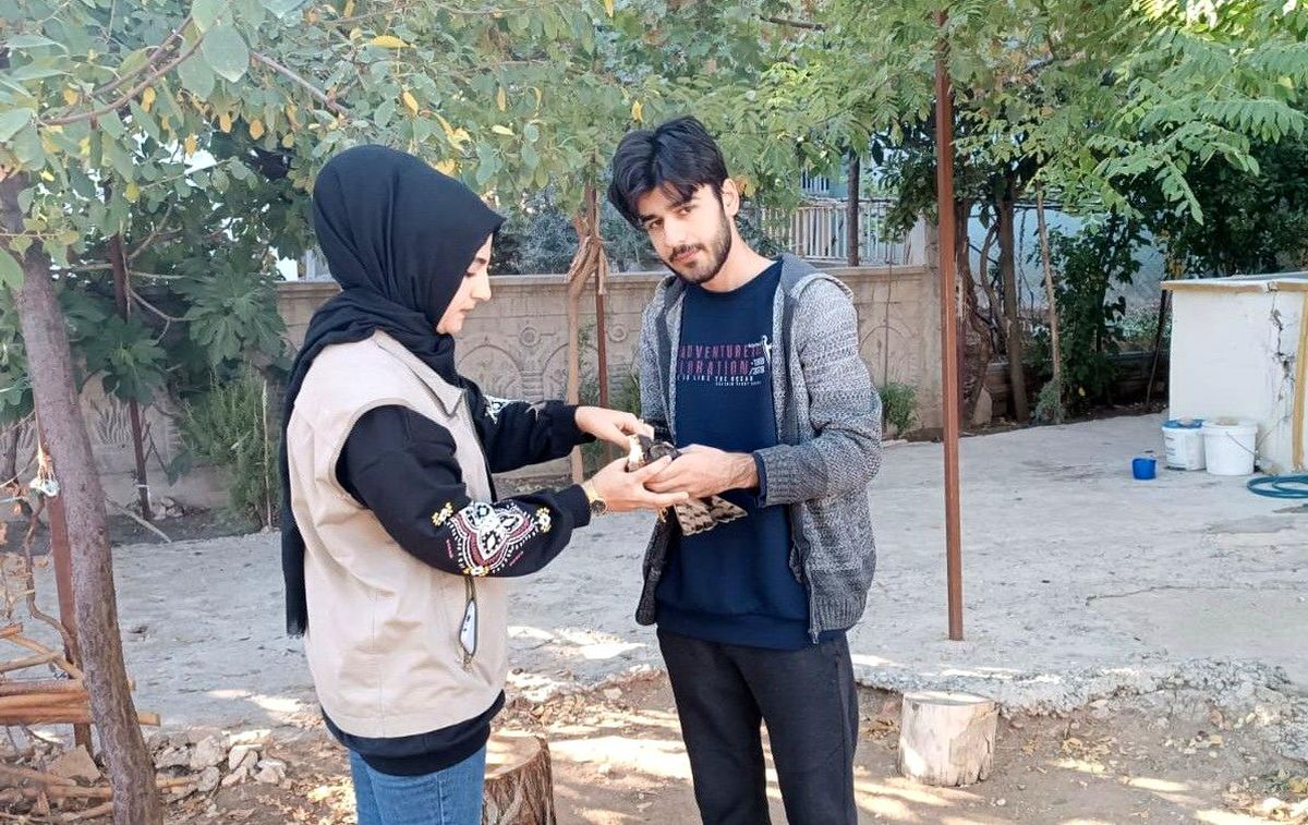 Yaralı hayvanlar tedavi altına alındı