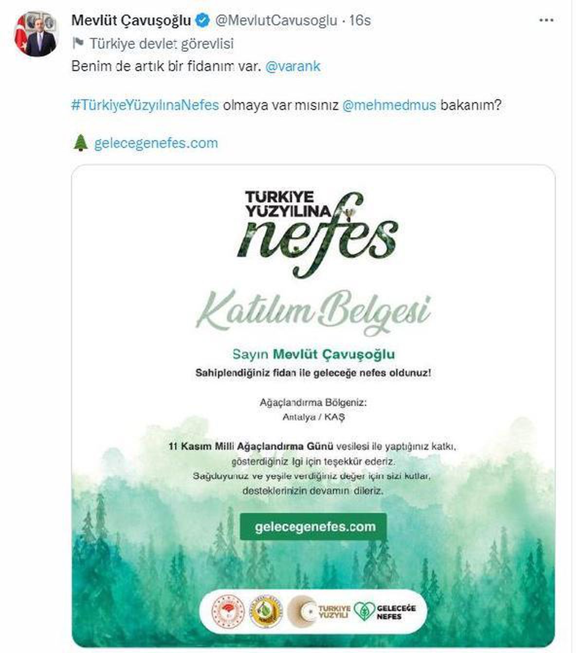 Bakan Kirişci'nin fidan davetine diğer bakanlar da katıldı