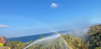 Balıkesir'de ormanlık alanda çıkan yangın söndürüldü