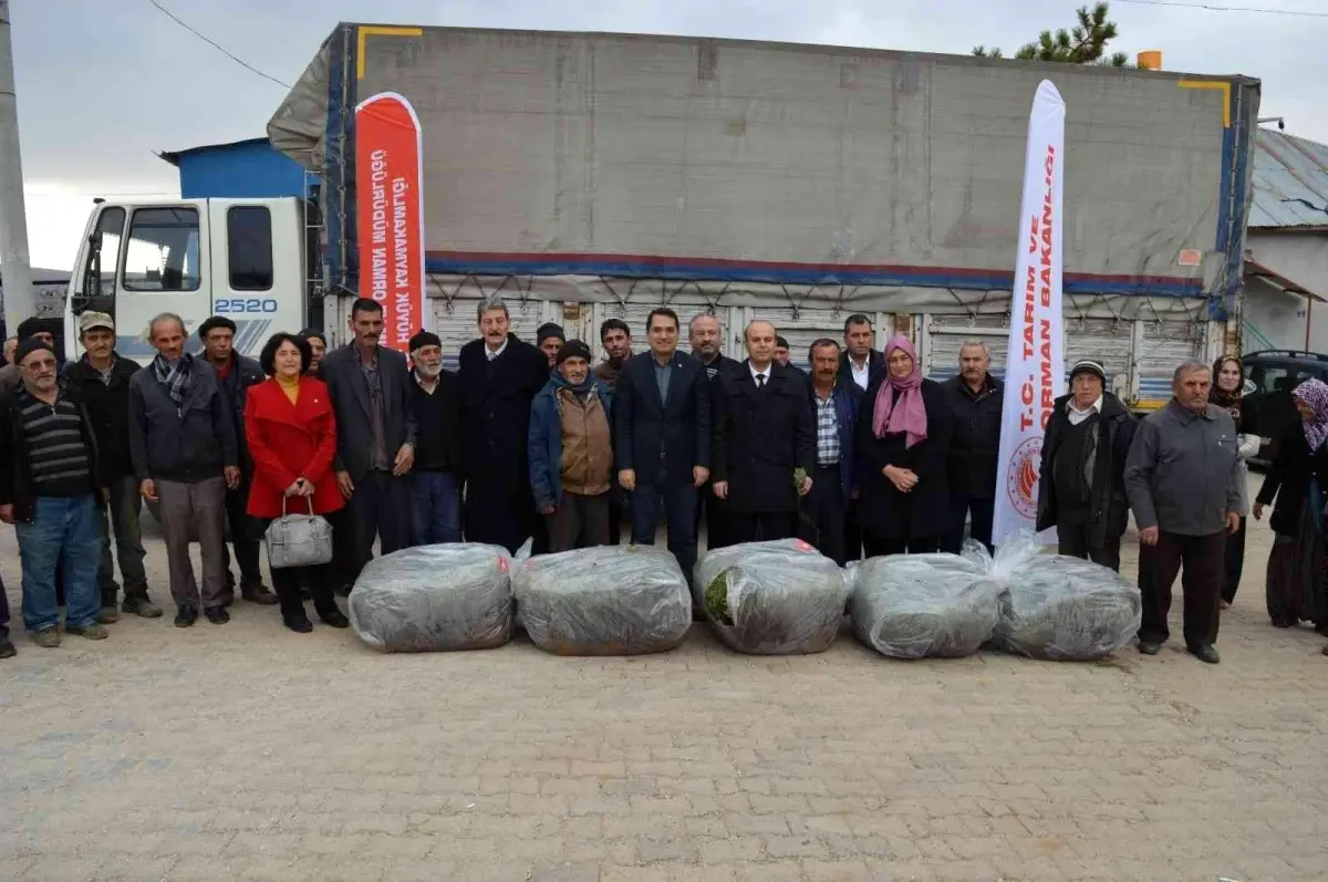 Hüyük\'te üreticilere 170 bin adet lavanda fidesi dağıtıldı