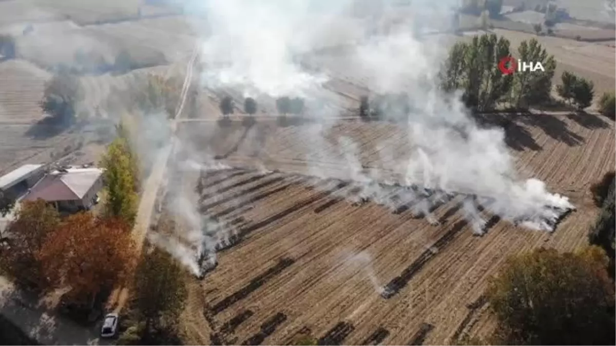 Mısır hasadı bitti, anız yangınları başladı