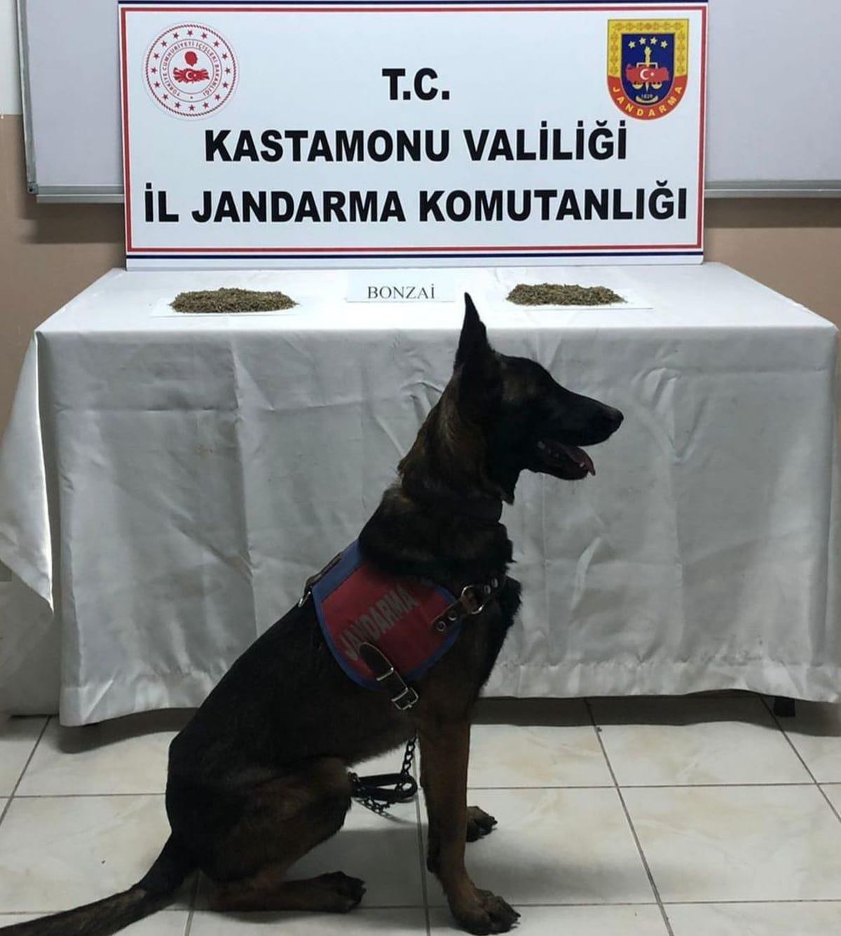 Sarımsak bulunan minibüsün tavan aydınlatmasında uyuşturucu ele geçirildi