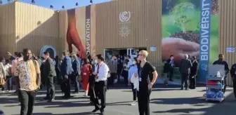 ŞARM EL ŞEYH - İklim aktivistleri Mısır'da gösteri yaptı