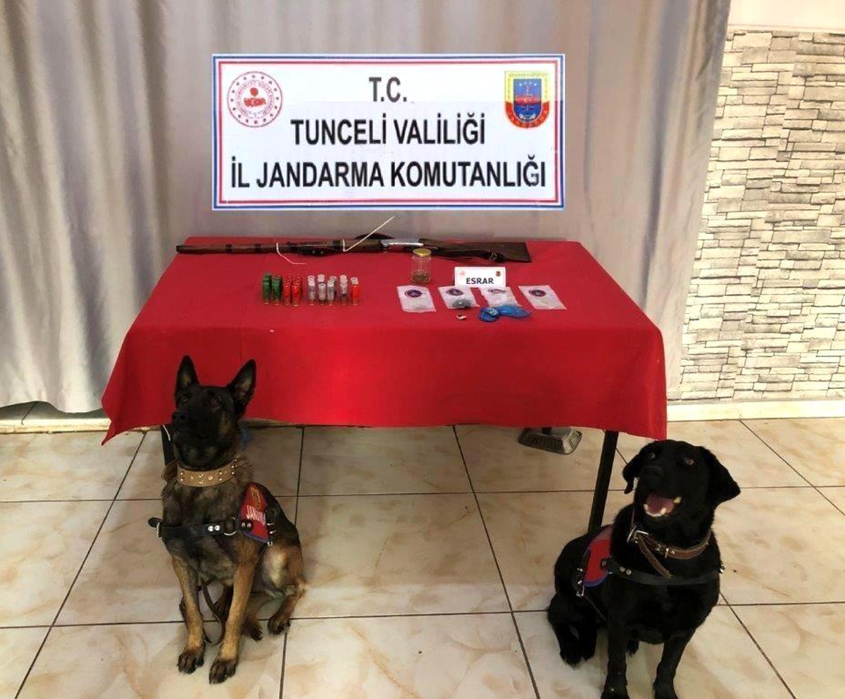 Tunceli\'de uyuşturucu ve av tüfeği ele geçirildi: 2 gözaltı