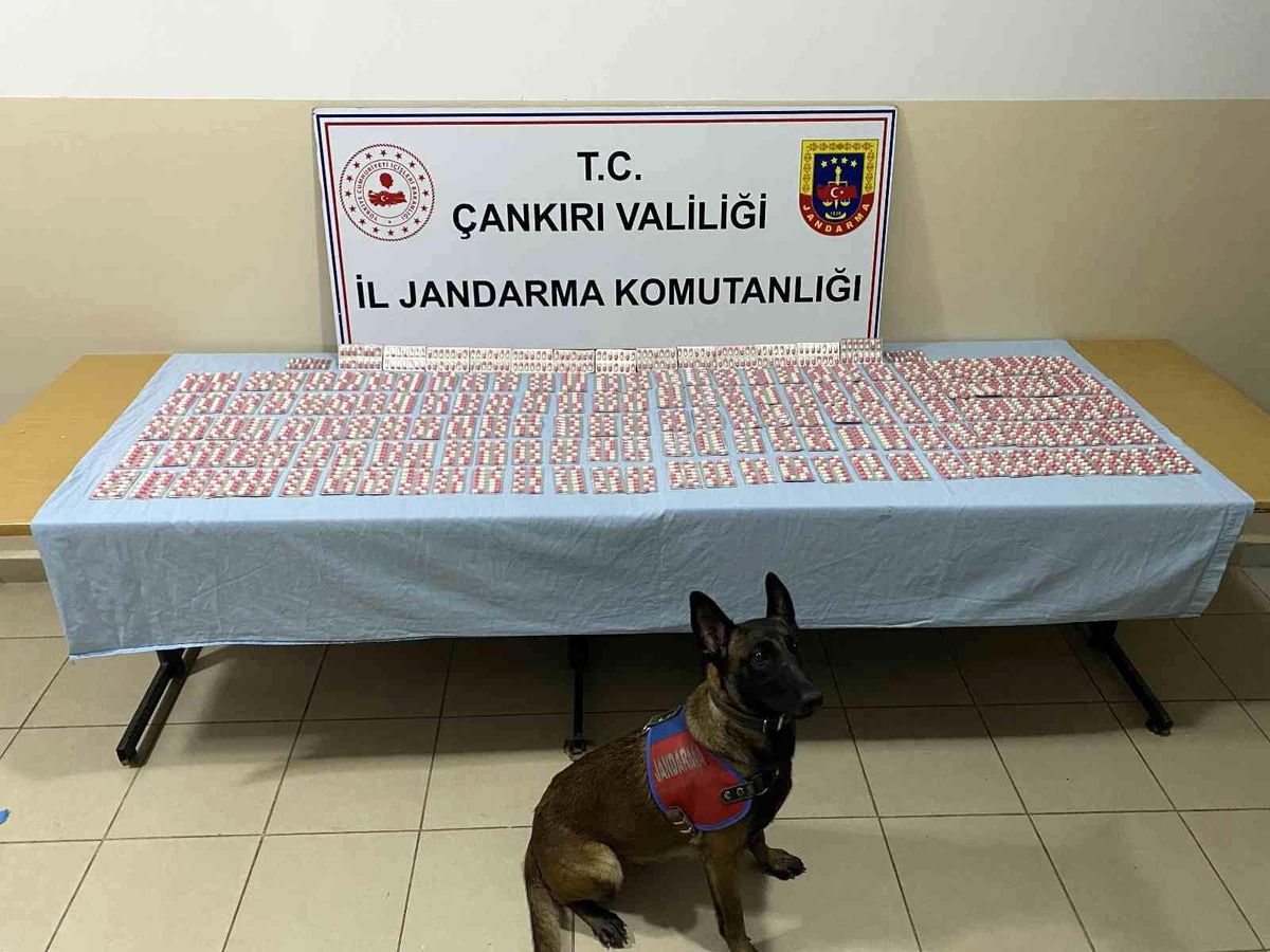 Çankırı\'da jandarma ekipleri suça geçit vermiyor