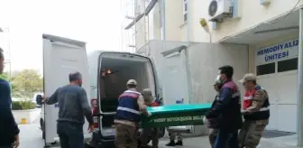 Hatay'da ağaca asılı bulunan Fidan, Şanlıurfa'da toprağa verilecek