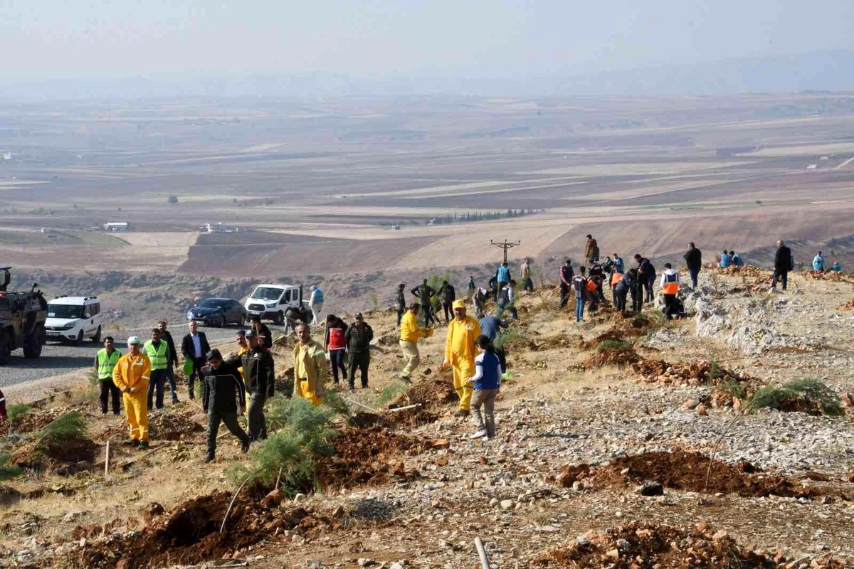 Adıyaman\'da, fidanlar toprakla buluşturuldu