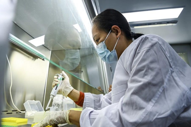 Halkla Birlikte Çalışan Teknisyenler Çin'in Güneyindeki Guangxi'de Kırsal Yeniden Canlanmayı Güçlendiriyor Halkla Birlikte Çalışan Teknisyenler Çin'in Güneyindeki Guangxi'de Kırsal Yeniden Canlanmayı Güçlendiriyor