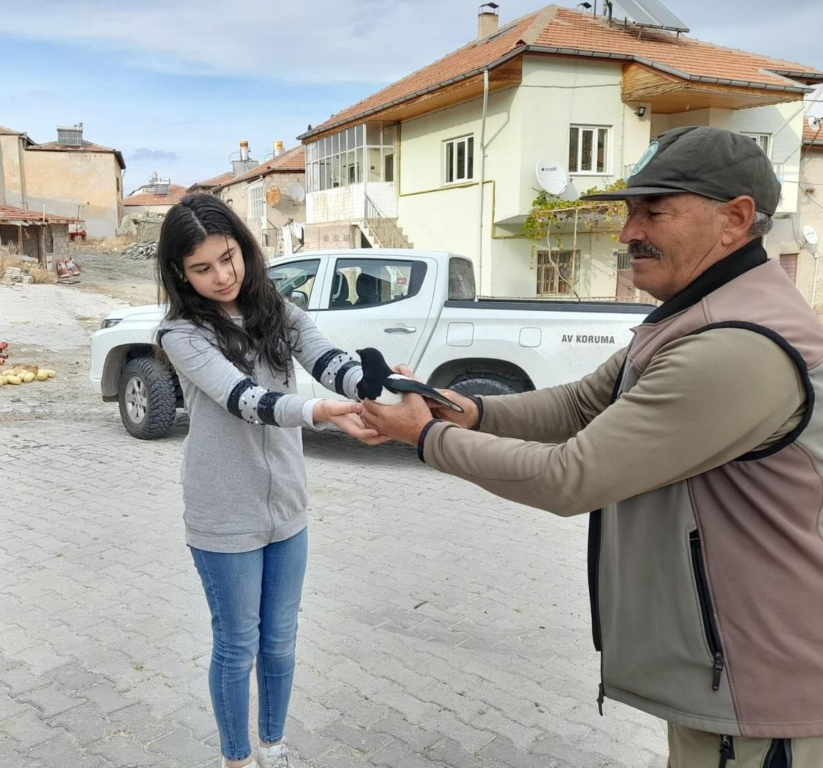 Kayseri\'de yaralı halde bulunan saksağan tedaviye alındı