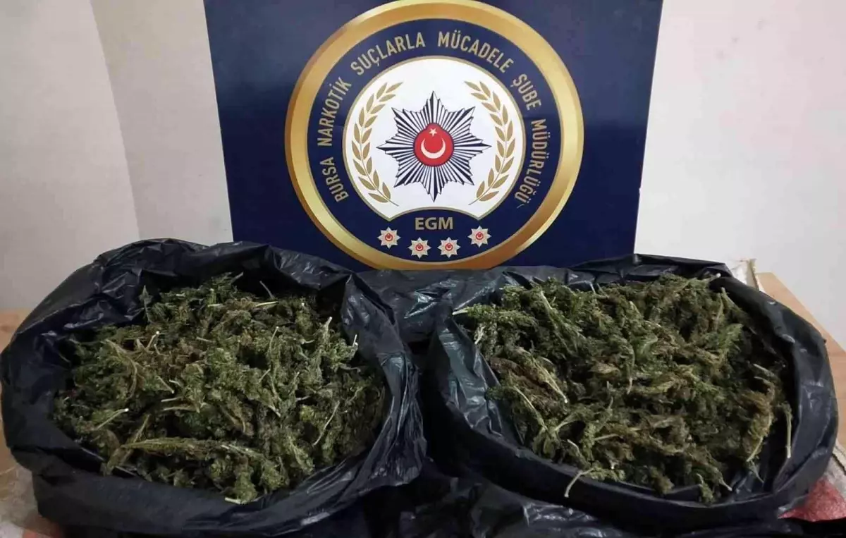 Uyuşturucu operasyonunda 2 kilo 100 gram esrar ele geçirildi, 2 kişi tutuklandı