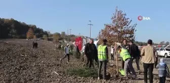 Yalova'da 7 bin 700 adet fidan toprakla buluştu