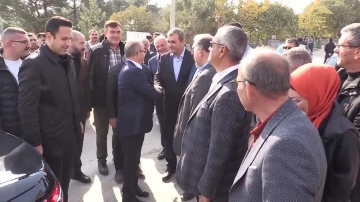 ÇANAKKALE - AK Parti Grup Başkanvekili Turan, Çanakkale\'de zeytin hasat şenliğine katıldı