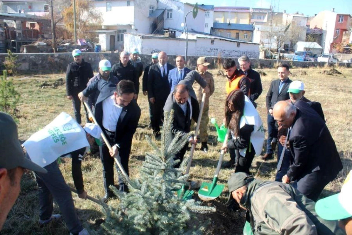 Çıldır\'da fidan dikimi gerçekleştirildi