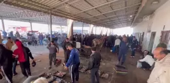 İsrail, Gazze Şeridi'nden Batı Şeria'ya balık ihracatını durdurdu