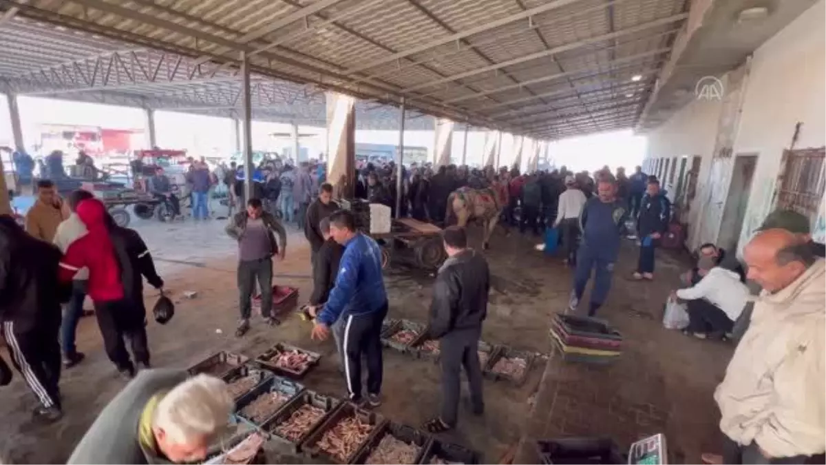 İsrail, Gazze Şeridi'nden Batı Şeria'ya balık ihracatını durdurdu