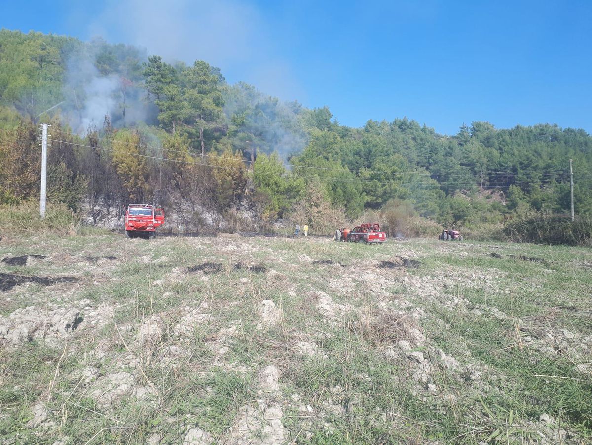 Muğla\'da çıkan orman yangını söndürüldü