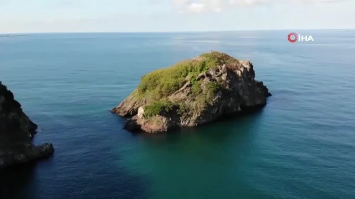 Ordu\'nun kuş cenneti Hoynat Adası böyle görüntülendi