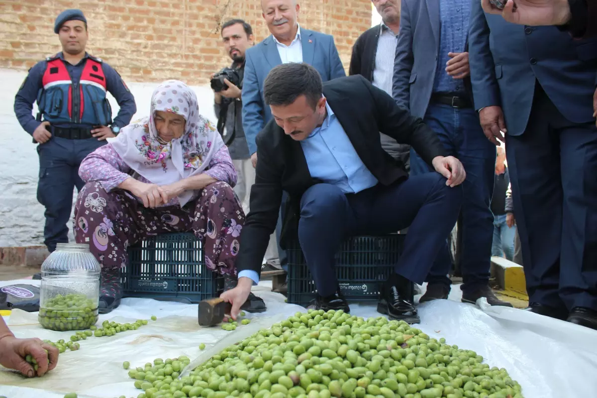 AK Parti\'li Dağ, Zeytin Festivali\'nde konuştu