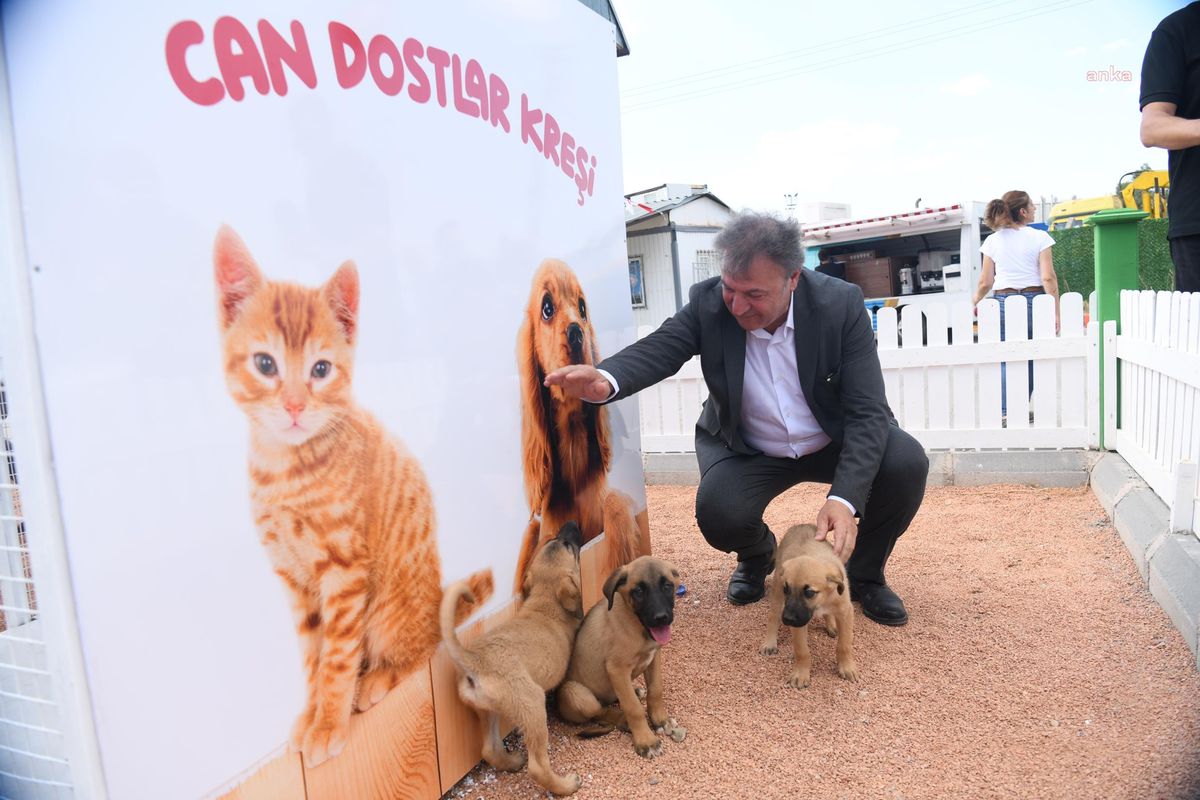 Bornova\'da Can Dostlara Sıcak Yuva