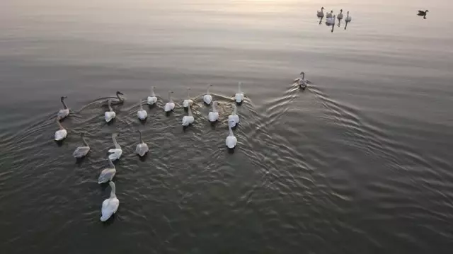 Hefei, Uluslararası Sulak Alan Kenti Olarak Akredite Edildi