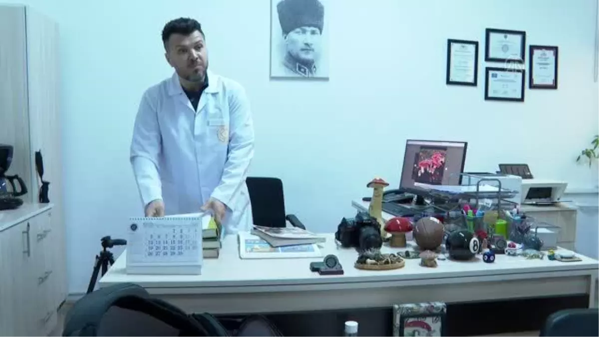 Mantar uzmanından 'ikiz mantar' tuzağı uyarısı