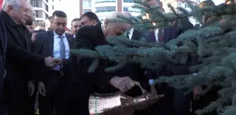 MHP Lideri Devlet Bahçeli, adının verildiği hatıra ormanına fidan dikti