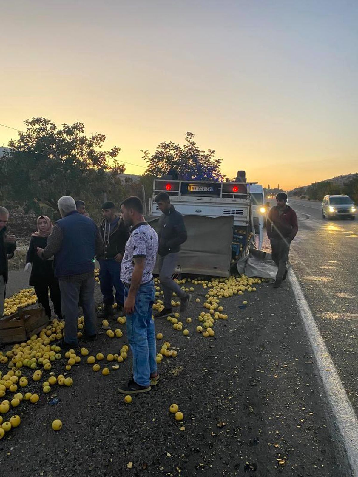 Tekeri patlayan elma yüklü kamyonet devrildi