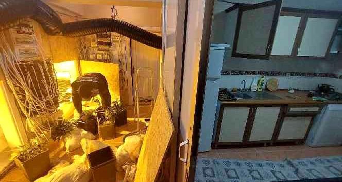 Villaya kenevir operasyonunda 1 kişi tutuklandı