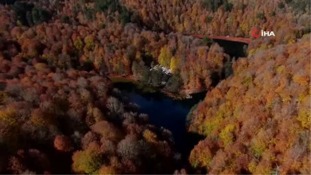 Yedigöller Milli Parkı'ndan sonbahar manzarası