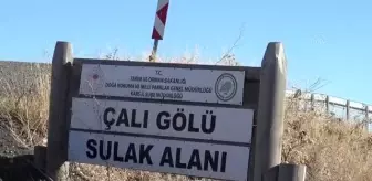 2 bin 237 rakımdaki Çalı Gölü'nün yüzeyi buzla kaplandı