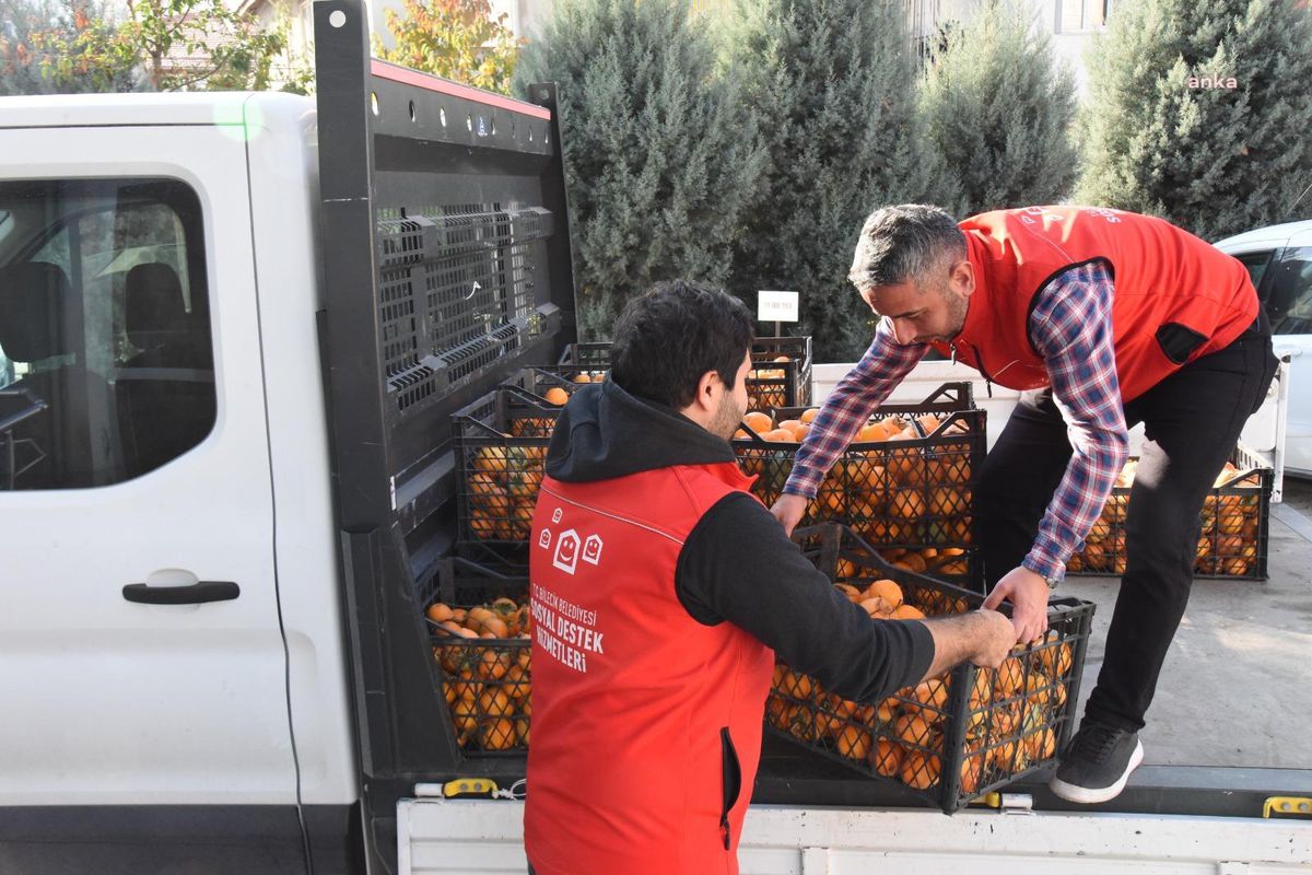 Bilecik Belediyesi, Bahçelerinde Yetiştirdiği Cennet Hurmalarını İhtiyaç Sahiplerine Dağıttı