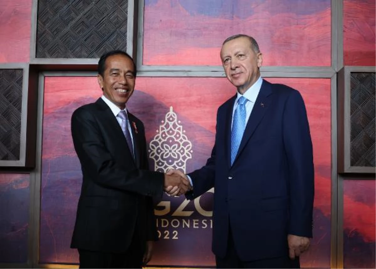 Cumhurbaşkanı Recep Tayyip Erdoğan, Bali\'de Endonezya Devlet Başkanı Joko Widodo ile bir araya geldi.