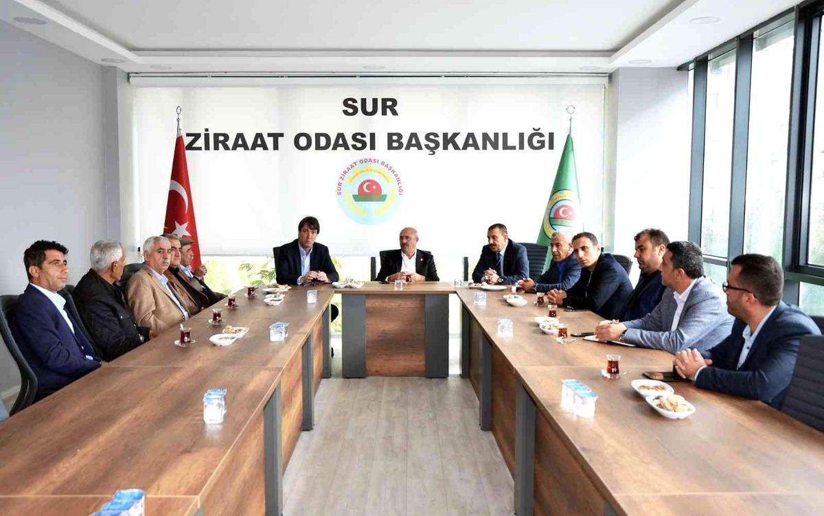 Diyarbakır\'da sıfır faizli tarımsal elektrik kredisine çiftçiler toplu başvurdu