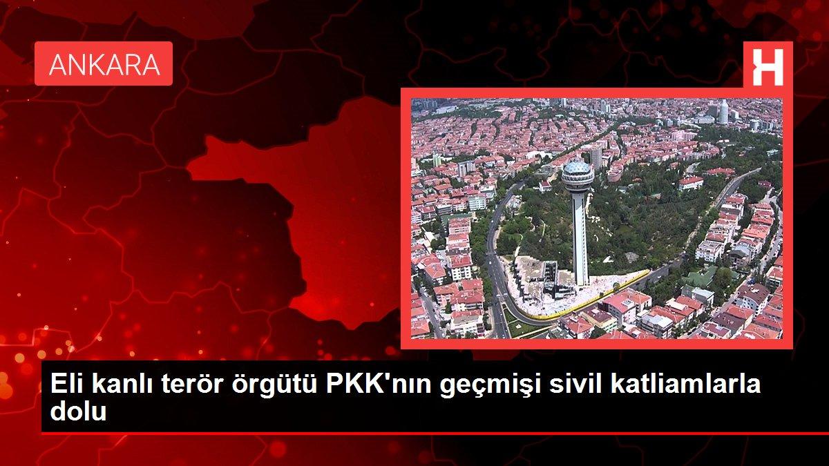 Eli kanlı terör örgütü PKK'nın geçmişi sivil katliamlarla dolu
