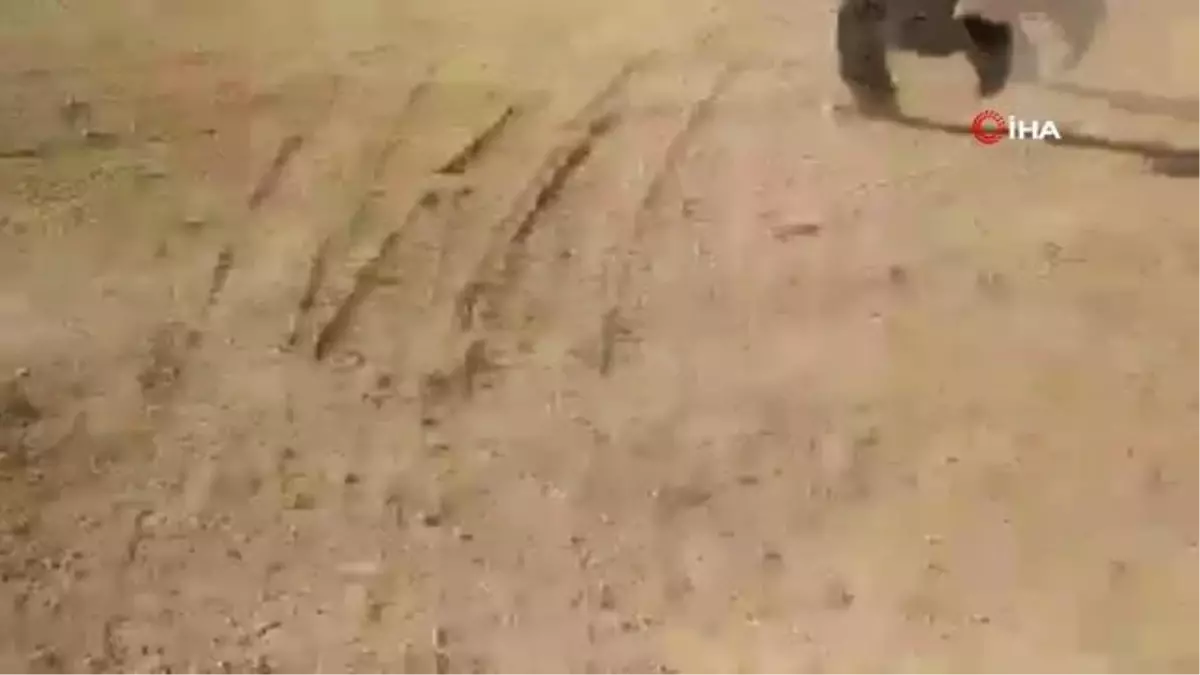 Hindistan'da taş ocağında toprak kayması: En az 12 işçi toprak altında kaldı