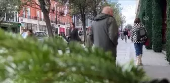 İngiltere'nin başkentinde yılbaşı hazırlıkları