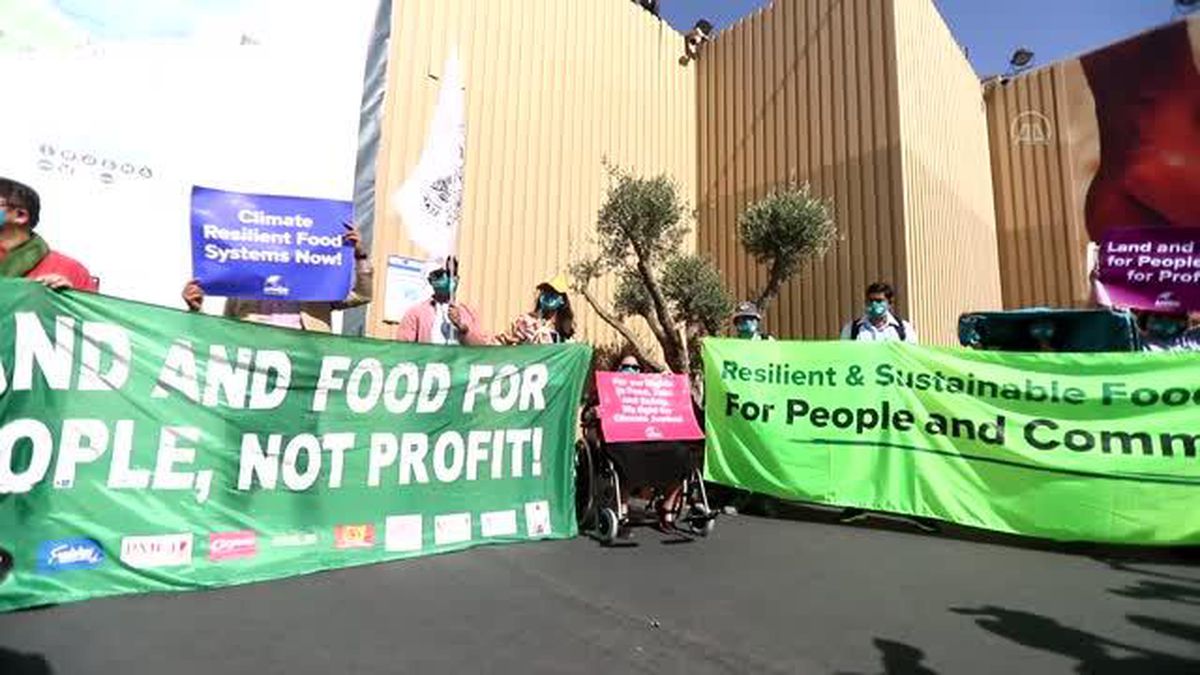 ŞARM EL ŞEYH - Mısır'da İklim aktivistleri gösteri yaptı