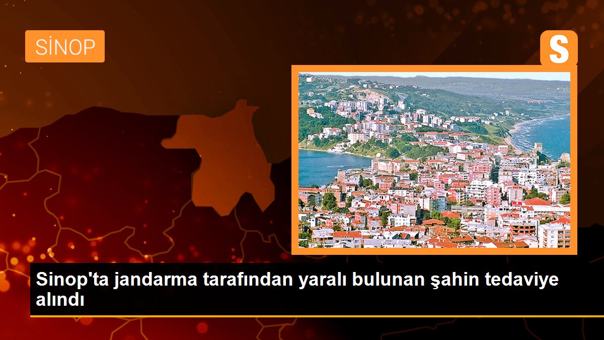 Sinop\'ta jandarma tarafından yaralı bulunan şahin tedaviye alındı