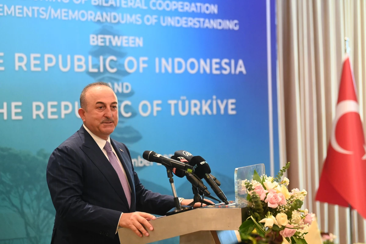 Türkiye ile Endonezya arasında 5 anlaşma imzalandı (1)
