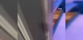 Uyuşturucu taciri sahte hekimin, ruhsatsız diş kliniği profesyonel hastaneyi aratmadı