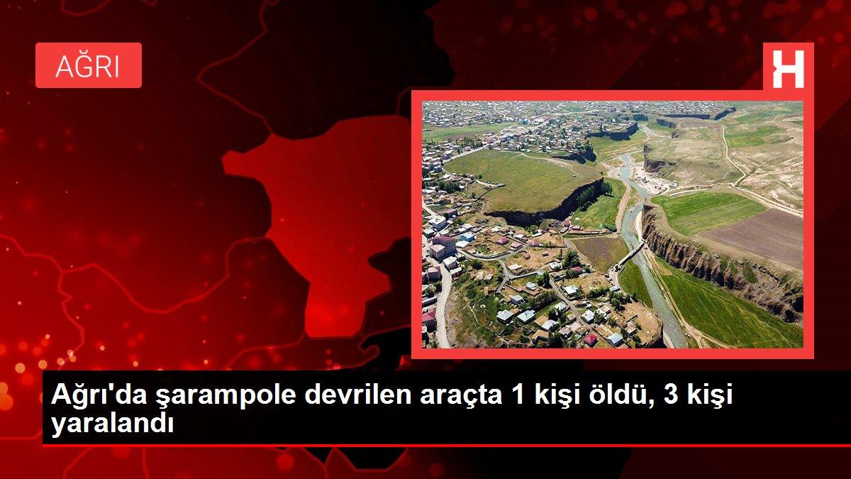 Ağrı'da şarampole devrilen araçta 1 kişi öldü, 3 kişi yaralandı