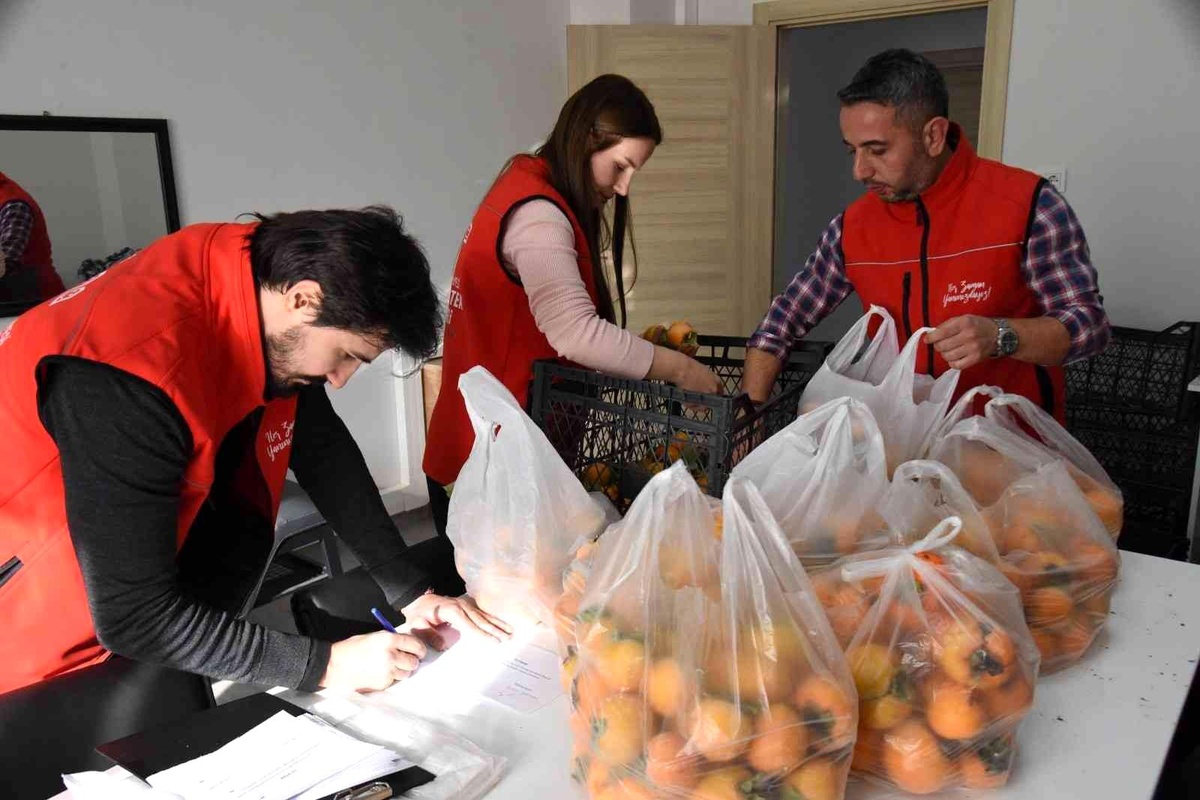 Belediye bahçesinde toplanan cennet hurmaları ihtiyaç sahiplerine dağıtıldı