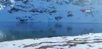 Çalyan Gölü çevresi yağan karla beyaza büründü