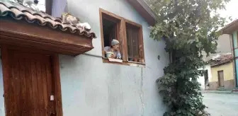 Evinin camından onlarca kediyi besliyor